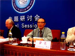 (四)33在第22届世界法律大会上(2005年9月)